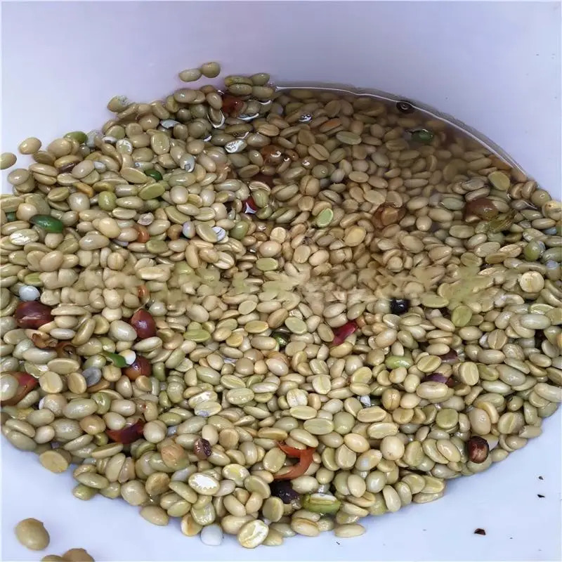 Birui High Productivity Stainl - đánh giá và giá Coffee Equipment Usa